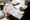 Person reviews printed documents while writing notes at a desk with notebooks and office supplies.
