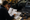 A man reviews documents beside an open car door, with speakers, cables, and equipment on a workbench.