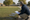 A man kneels beside a grassy lawn, examining a clipboard near scattered yard sign materials.