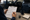 Person reviews a clipboard with a pen beside car keys, a mug, and notebook near an open car.