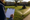 Person holds a clipboard while a worker drives a mower and a sprinkler waters grass outside a school.
